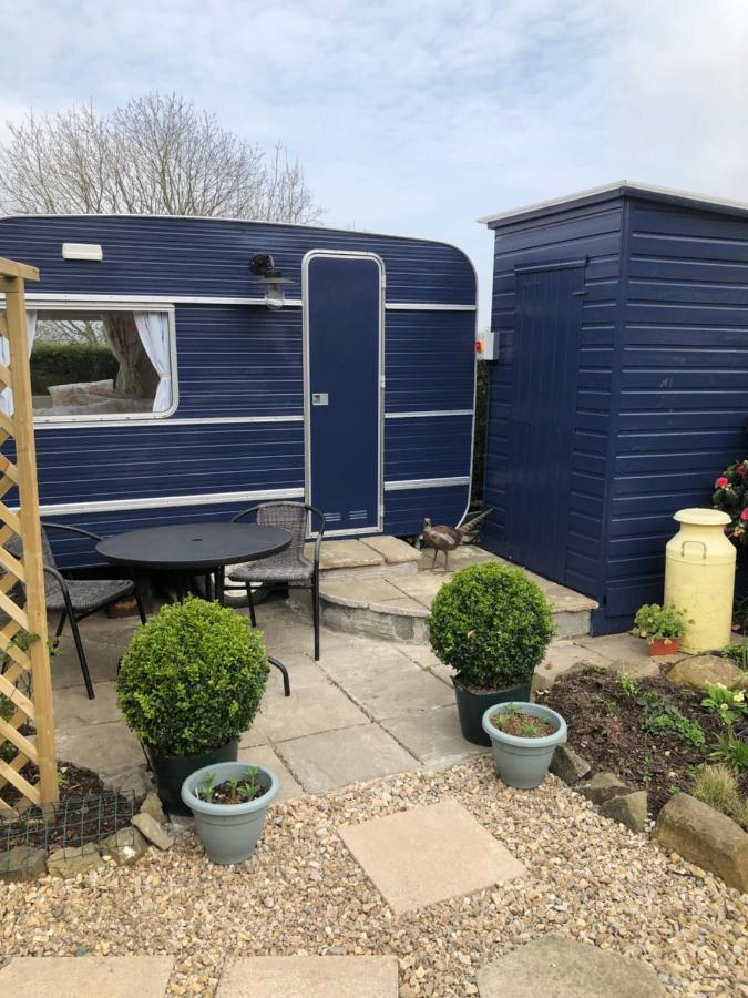 Down The Garden Path Vintage Caravan B&B , Dartmoor ニュートン・アボット エクステリア 写真