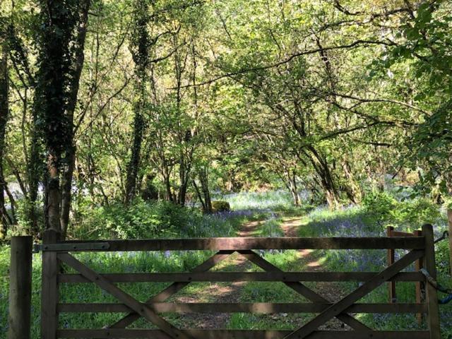 Down The Garden Path Vintage Caravan B&B , Dartmoor ニュートン・アボット エクステリア 写真
