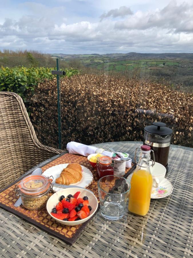 Down The Garden Path Vintage Caravan B&B , Dartmoor ニュートン・アボット エクステリア 写真