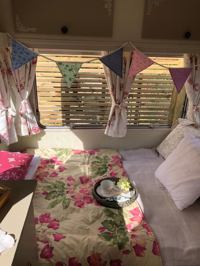 Down The Garden Path Vintage Caravan B&B , Dartmoor ニュートン・アボット エクステリア 写真