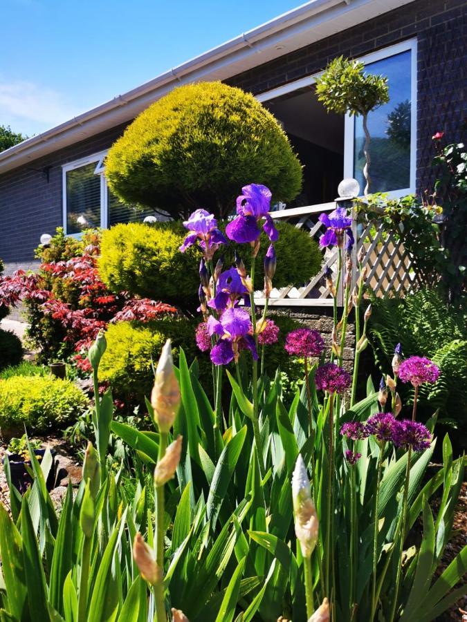 Down The Garden Path Vintage Caravan B&B , Dartmoor ニュートン・アボット エクステリア 写真