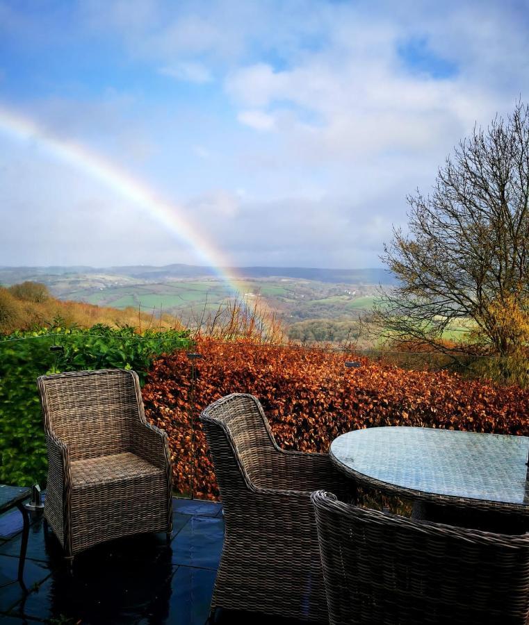 Down The Garden Path Vintage Caravan B&B , Dartmoor ニュートン・アボット エクステリア 写真