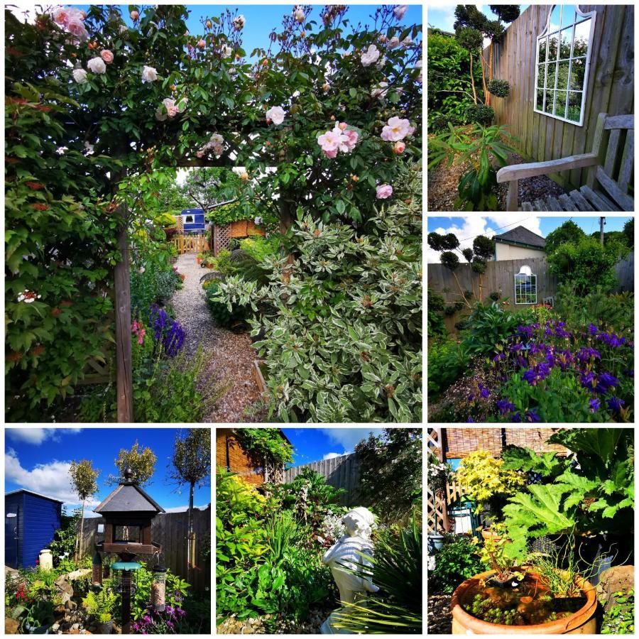 Down The Garden Path Vintage Caravan B&B , Dartmoor ニュートン・アボット エクステリア 写真
