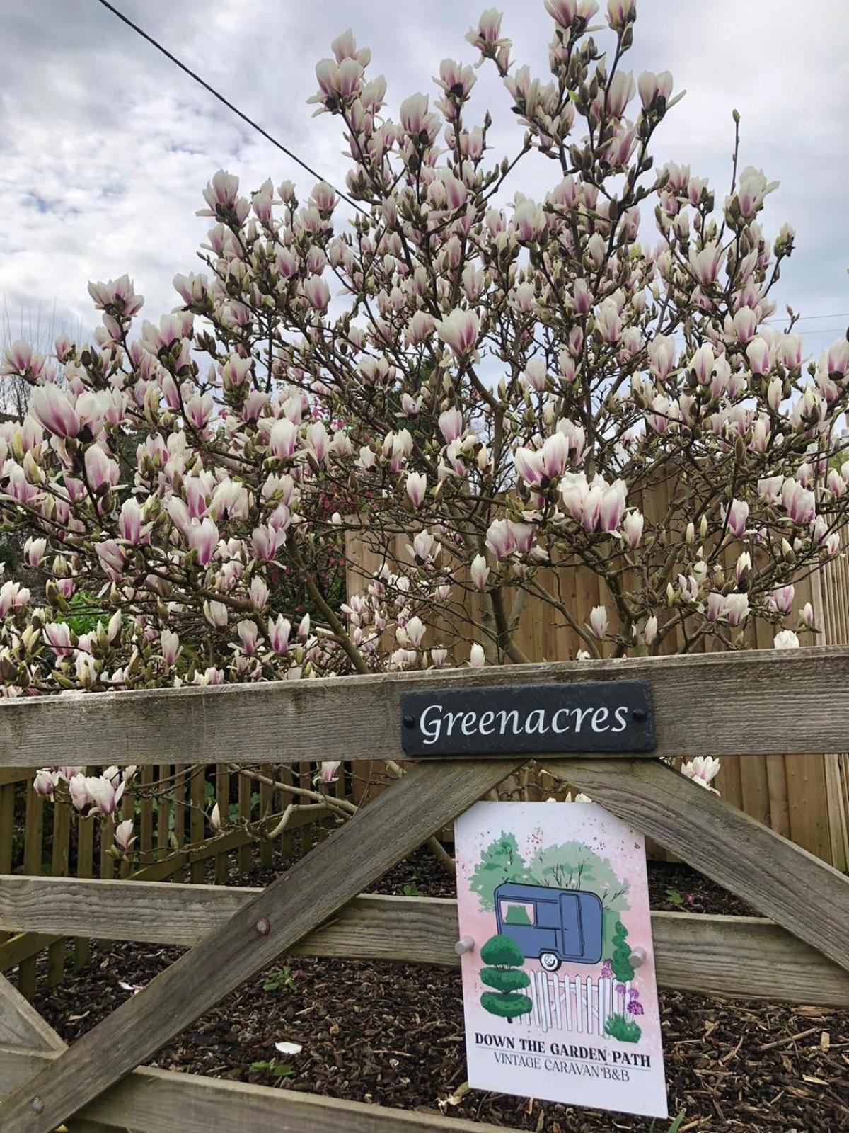 Down The Garden Path Vintage Caravan B&B , Dartmoor ニュートン・アボット エクステリア 写真